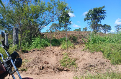 Fazenda à Venda em Bom Jardim de Goiás – 7 Alqueires com Casa e Córrego