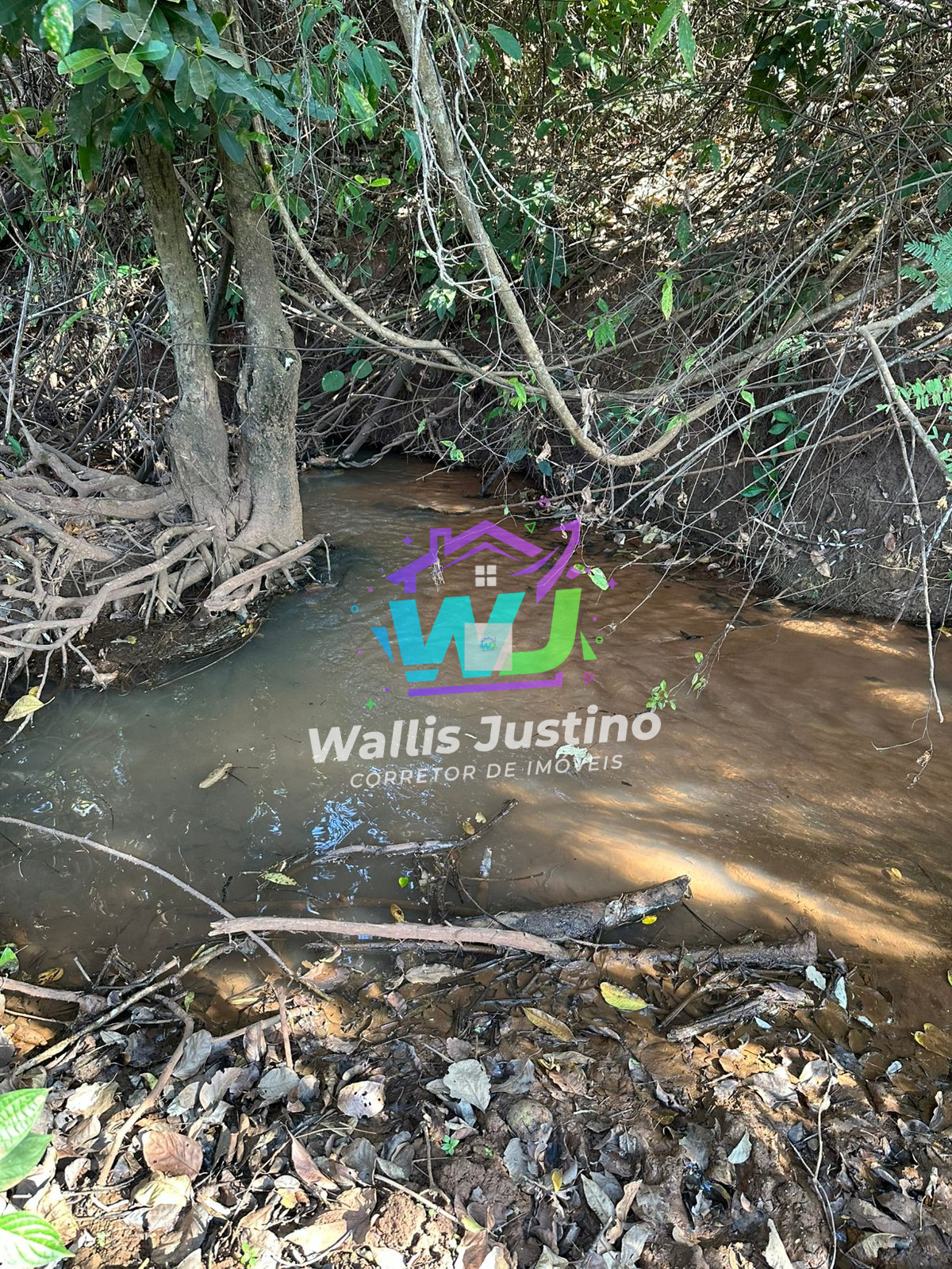 Chácara à Venda Próxima a Rio Verde – 3.726m² com Córrego e Escritura por R$ 250 Mil